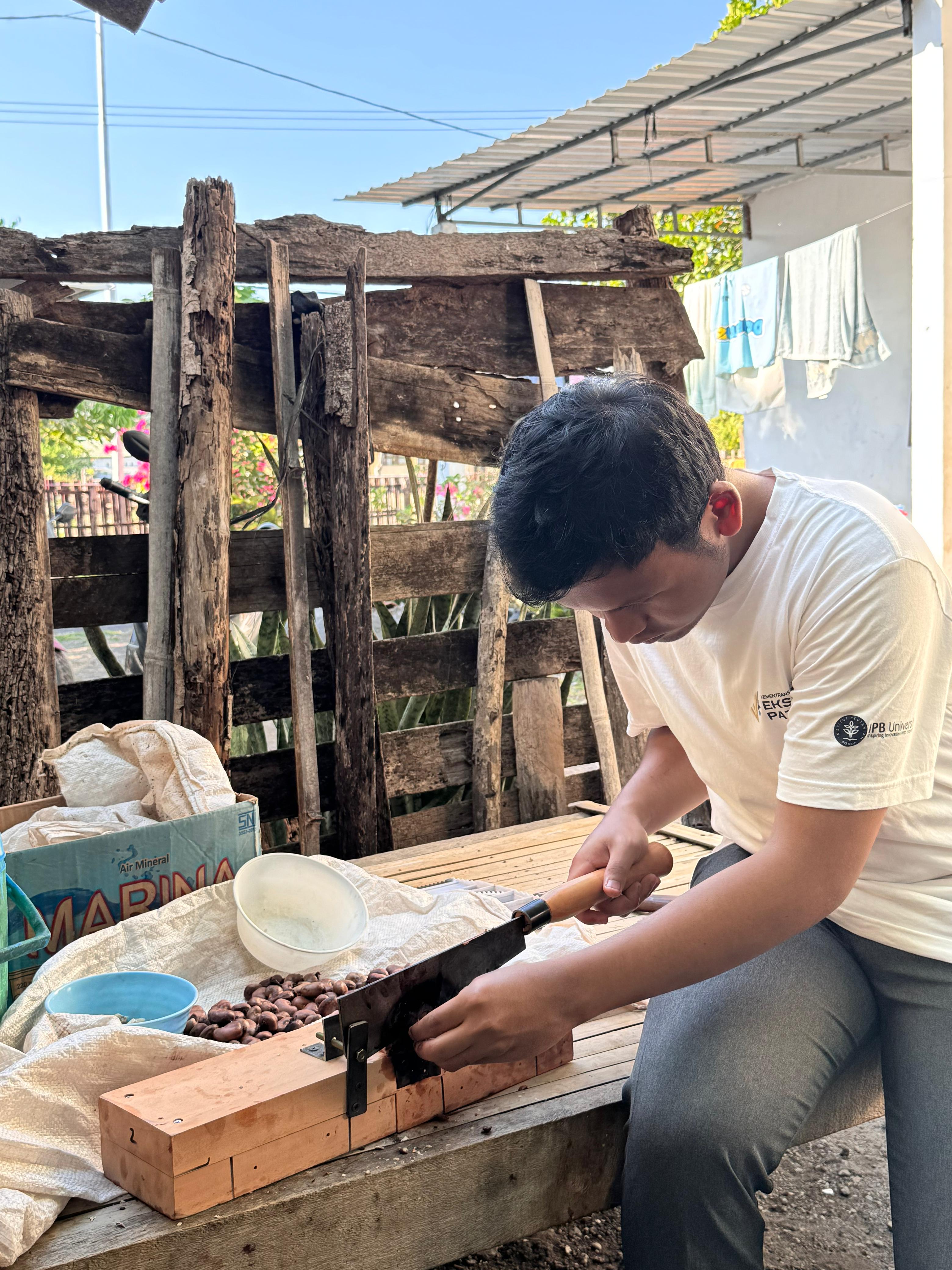 Uji Coba Pengolahan Mete Skala Kecil