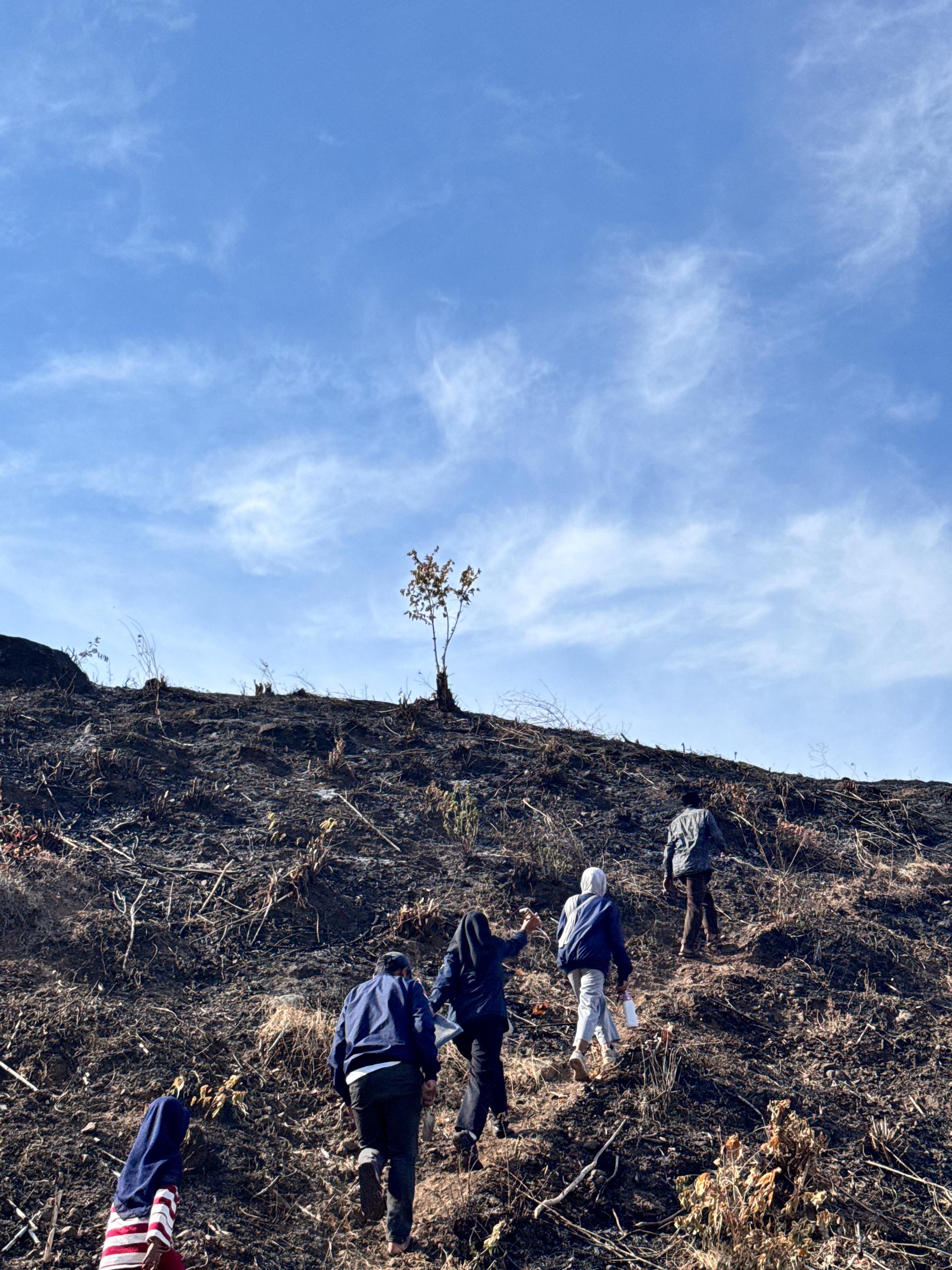 Sampling Tanah dan Analisa Unsur Hara